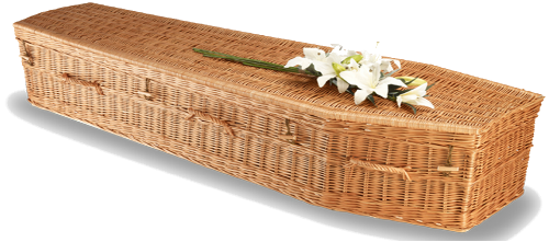 Elementary Willow Eco Coffin